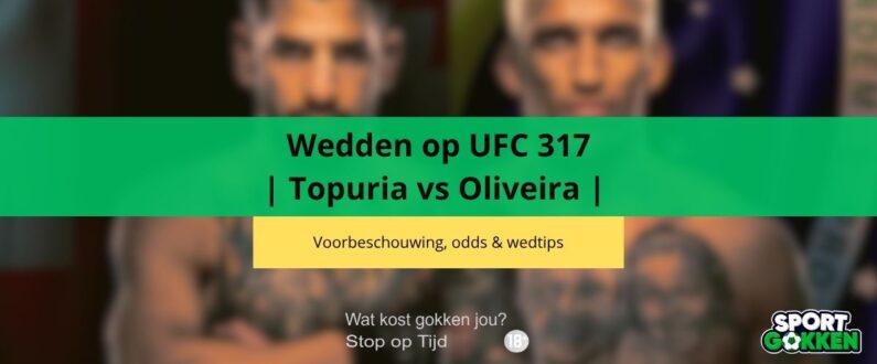 ufc mma quoteringen ufc 317