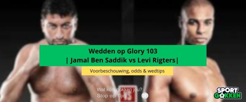 levi rigters ben saddik nederland belgie heavyweight glory wedden
