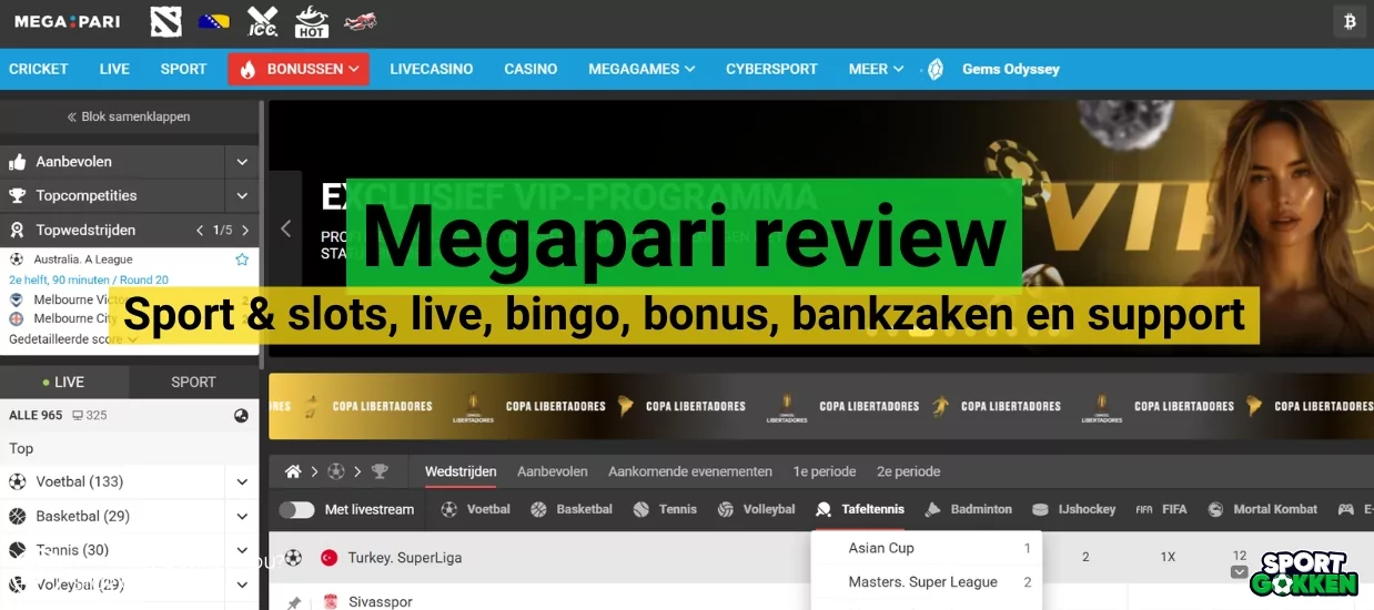 Megapari review