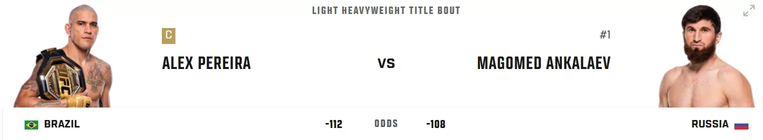 UFC 313 