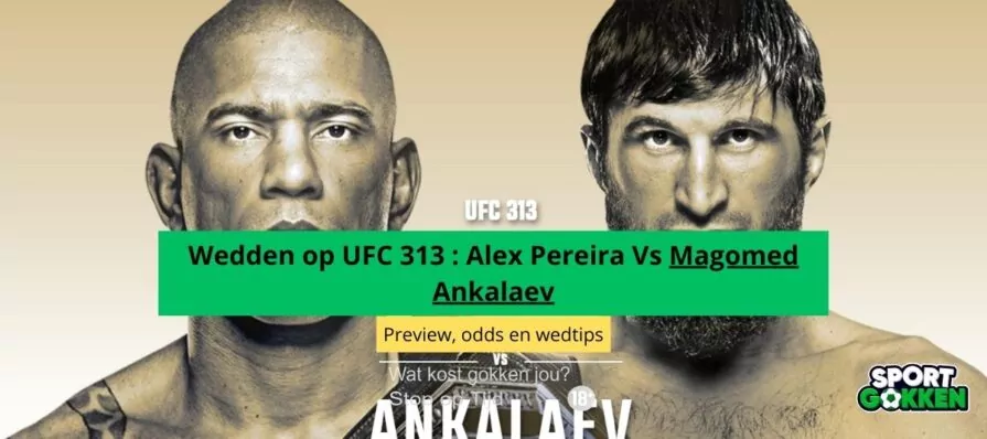 UFC 313 alex pereira ankalaev