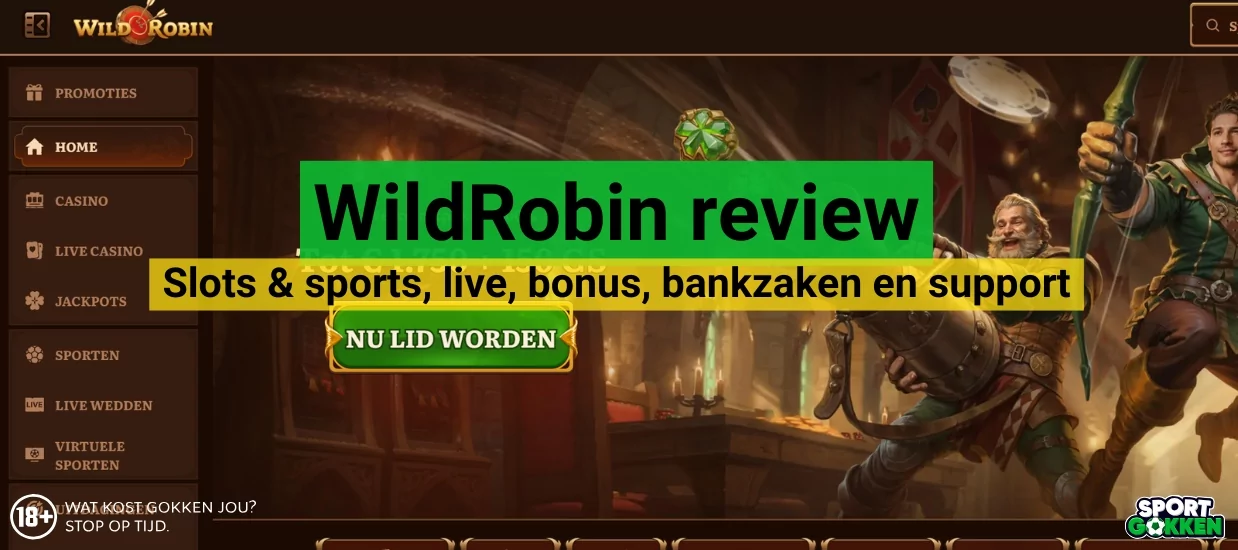 WildRobin Casino review
